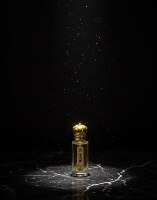 img_7539 NOOR- E -TAJ